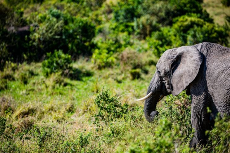 Bhagwan Mahavir Wildlife Sanctuary_3_PX